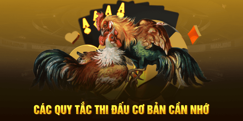 Các quy tắc thi đấu cơ bản cần nhớ